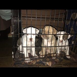 Meet your Posher, Mahala